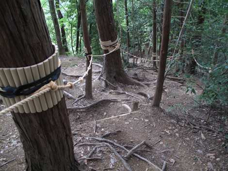 20171005hike (45)